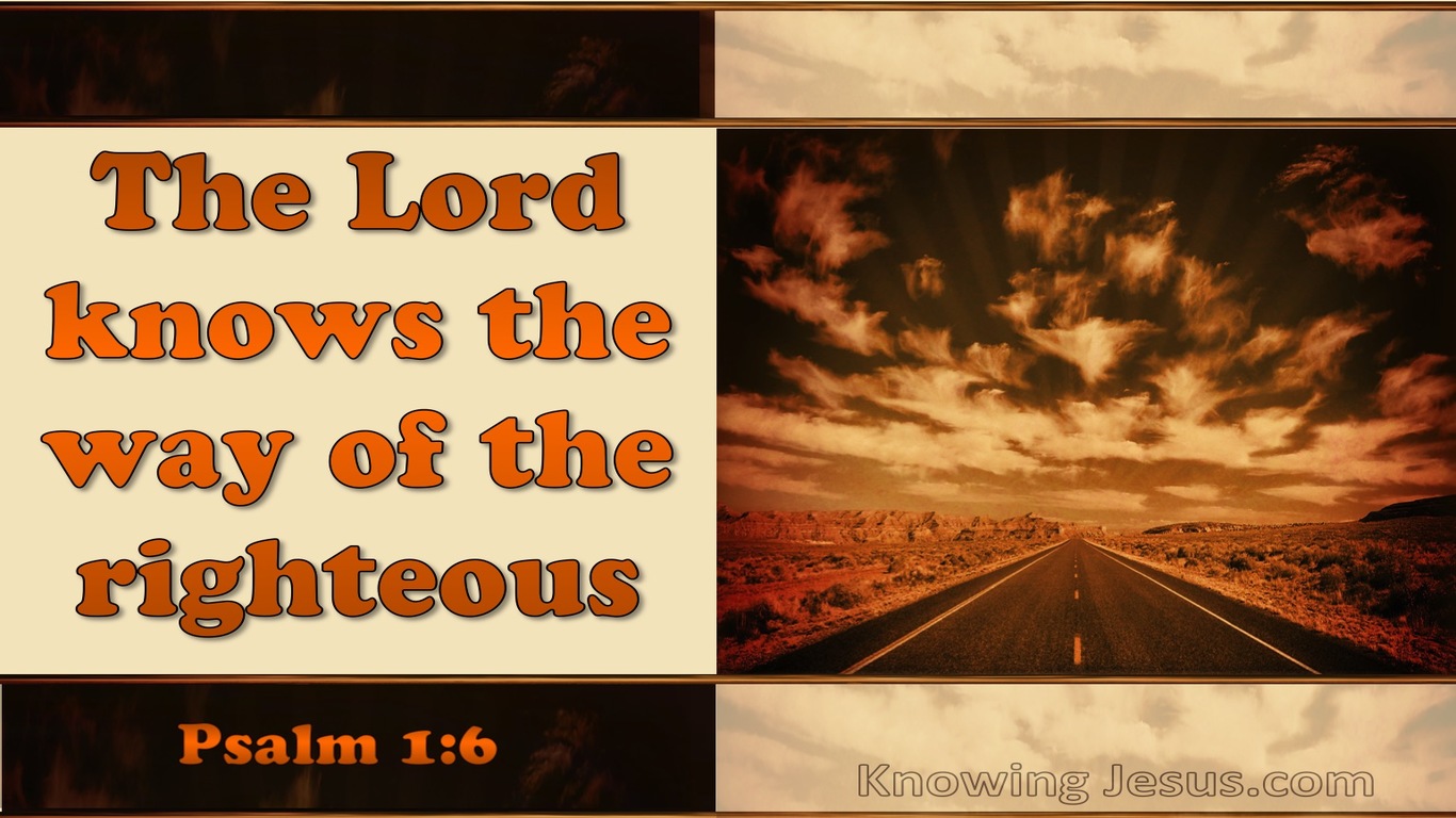 Psalm 1:6 The Lord Knows The Way Of The Righteous (orange)